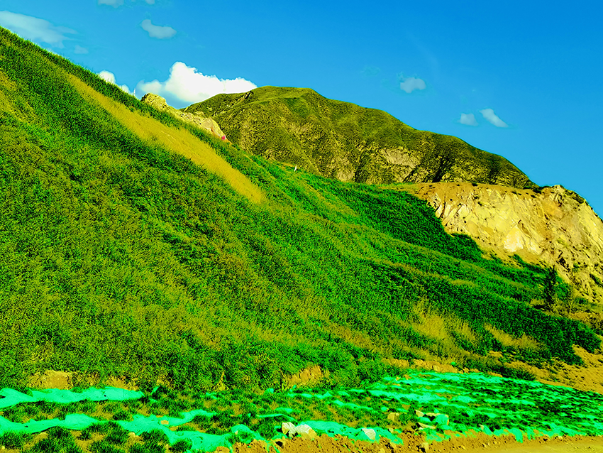 生態(tài)恢復(fù)治理后.png